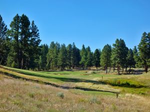 Silvies (Craddock) 11th Fescue